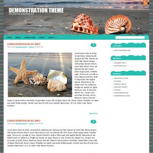 Shells WordPress Theme